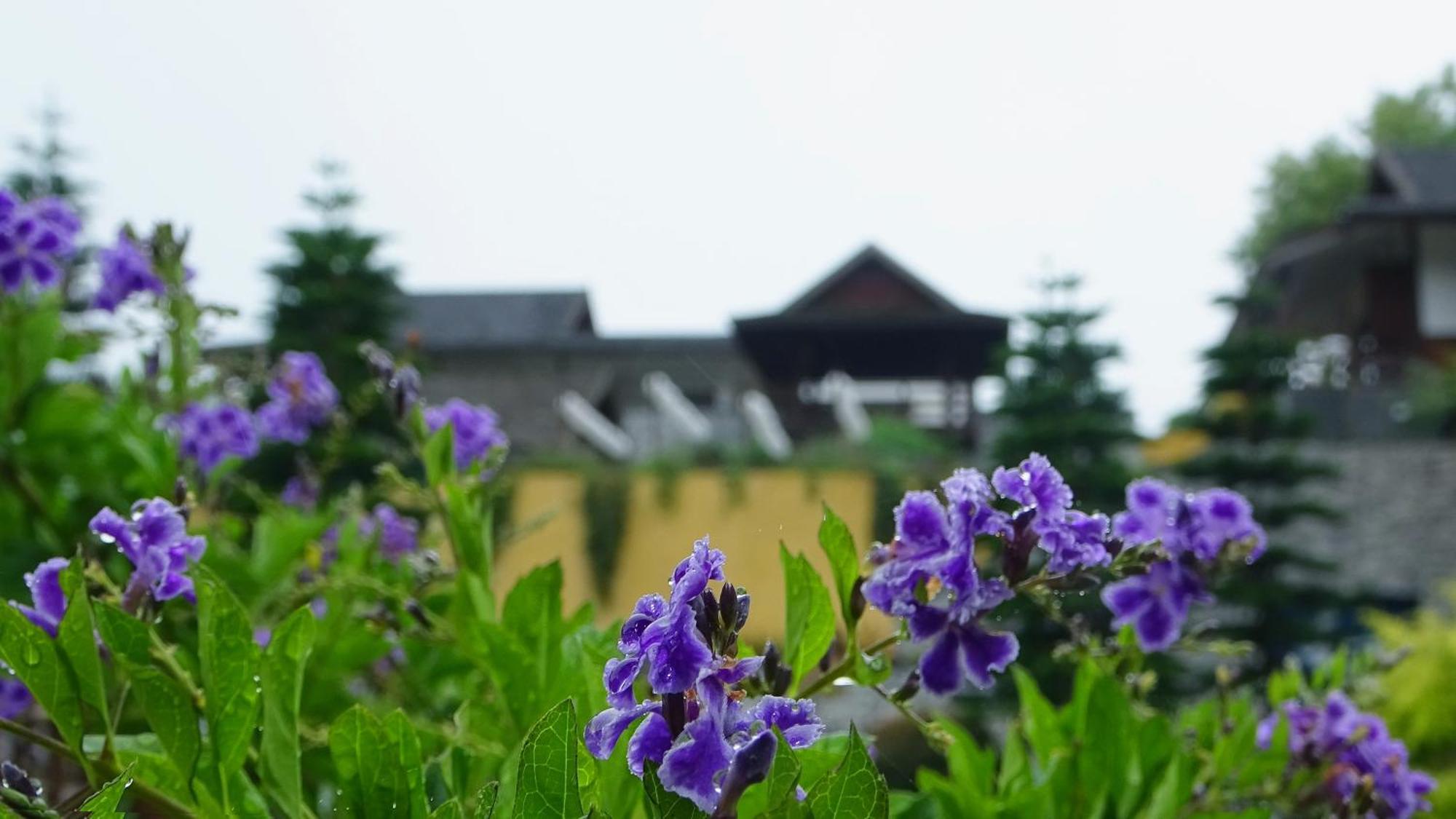 מלון מאה רים Onsen At Moncham מראה חיצוני תמונה